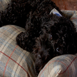 100% Wool Tweed Premium Dog Bed